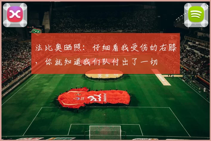 法比奥晒照：仔细看我受伤的右膝，你就知道我们队付出了一切