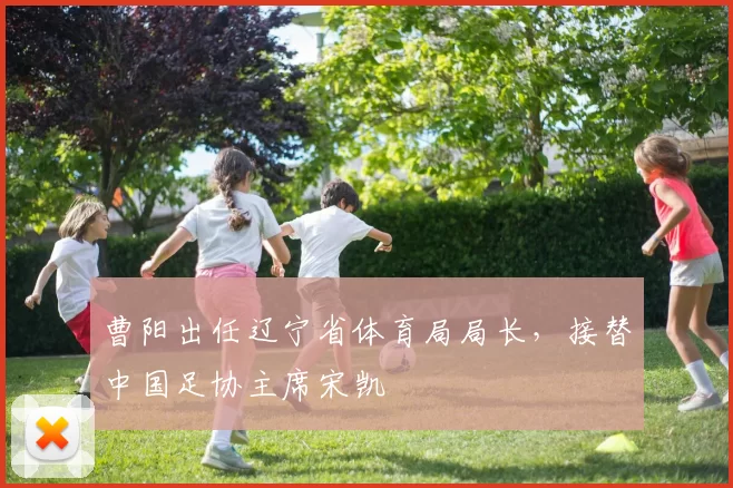 曹阳出任辽宁省体育局局长，接替中国足协主席宋凯