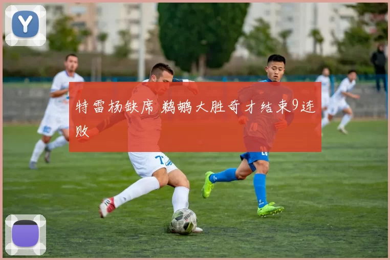 特雷杨缺席 鹈鹕大胜奇才结束9连败