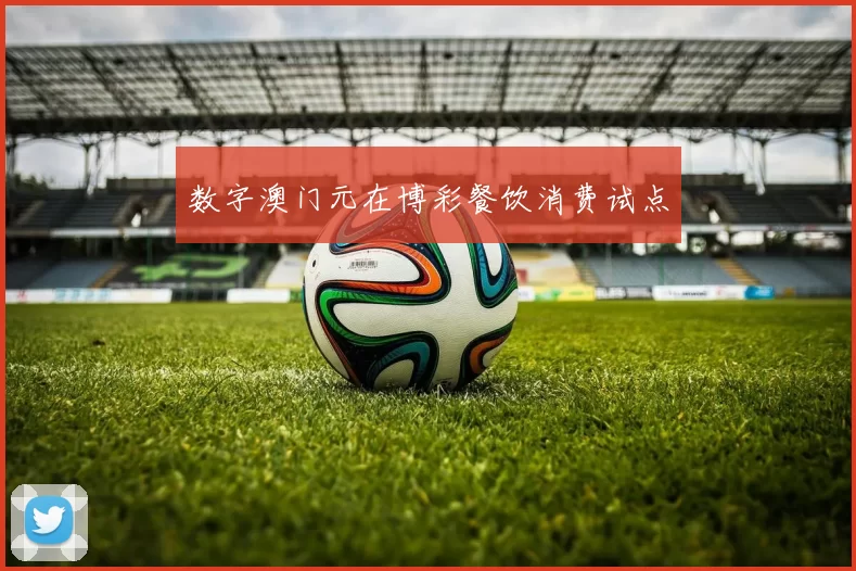 数字澳门元在博彩餐饮消费试点