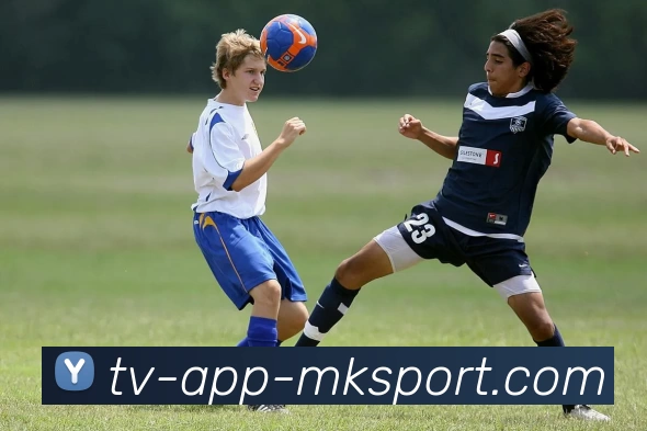 App Interface Preview