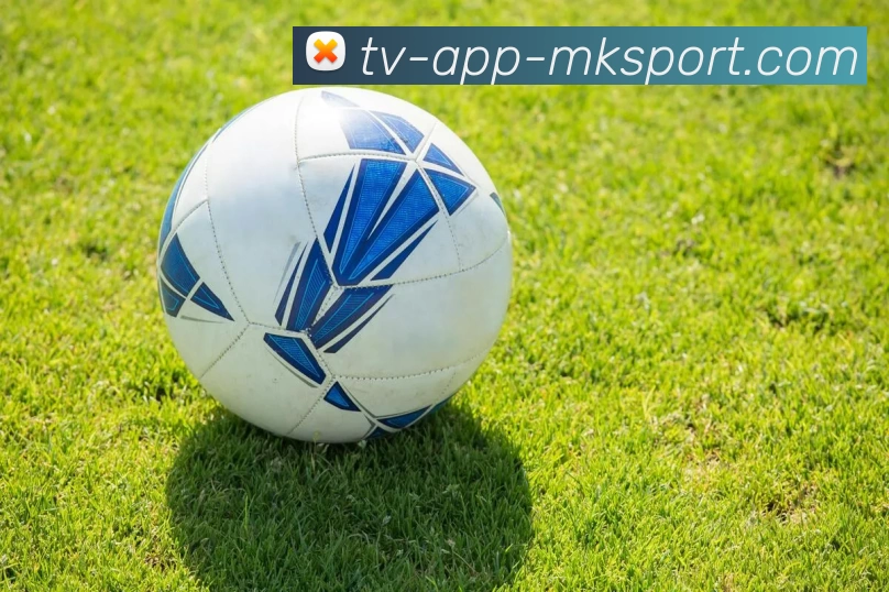 mk体育APP 封面图